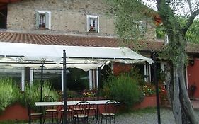Gli Ulivi