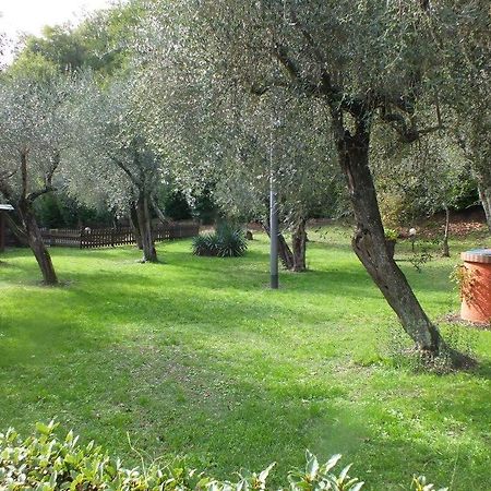 Gli Ulivi Bed and Breakfast Fosdinovo Esterno foto