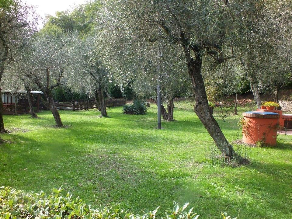 Gli Ulivi Bed and Breakfast Fosdinovo Esterno foto