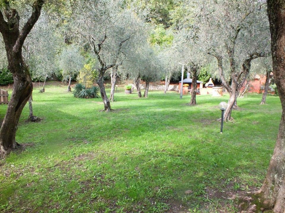 Gli Ulivi Bed and Breakfast Fosdinovo Esterno foto